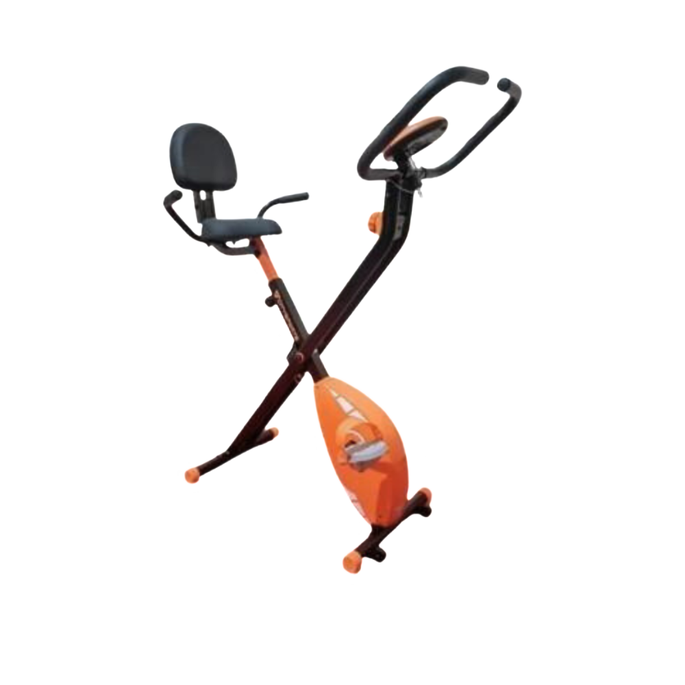 sepeda statis magnetik bike city sports x bike